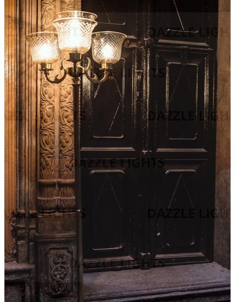 Traditional Floor Lamp